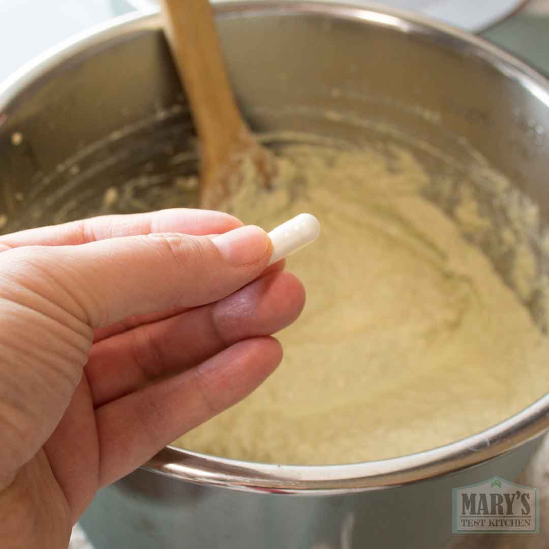 probiotic capsule for fermenting pistachio milk