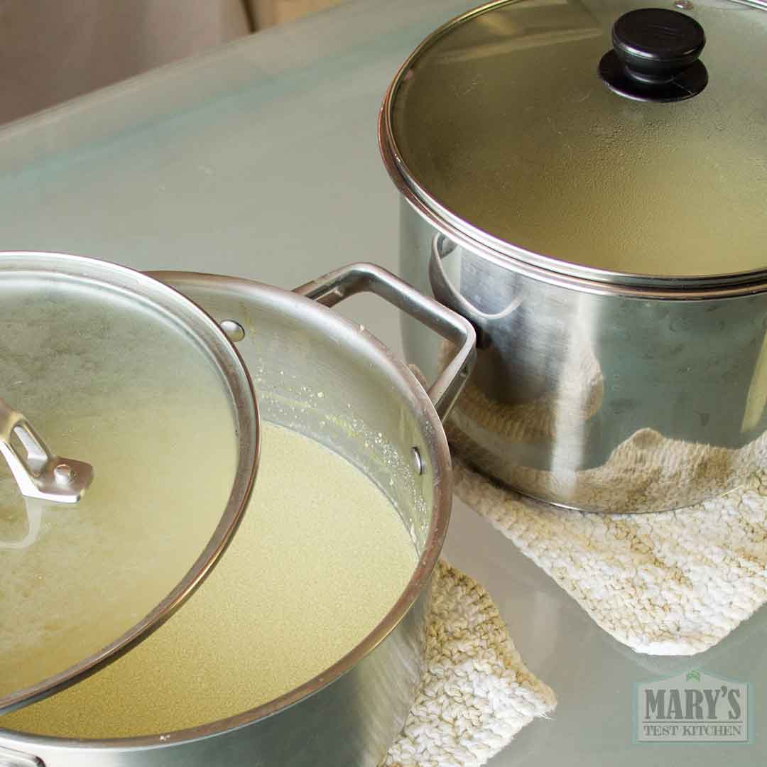 two batches of inoculated pistachio curds