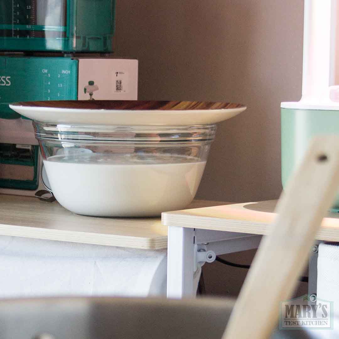 inoculated cooked peanut milk sitting at room temperature