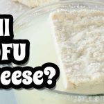 Will Tofu Cheese? Cultured Cheese from Soybeans