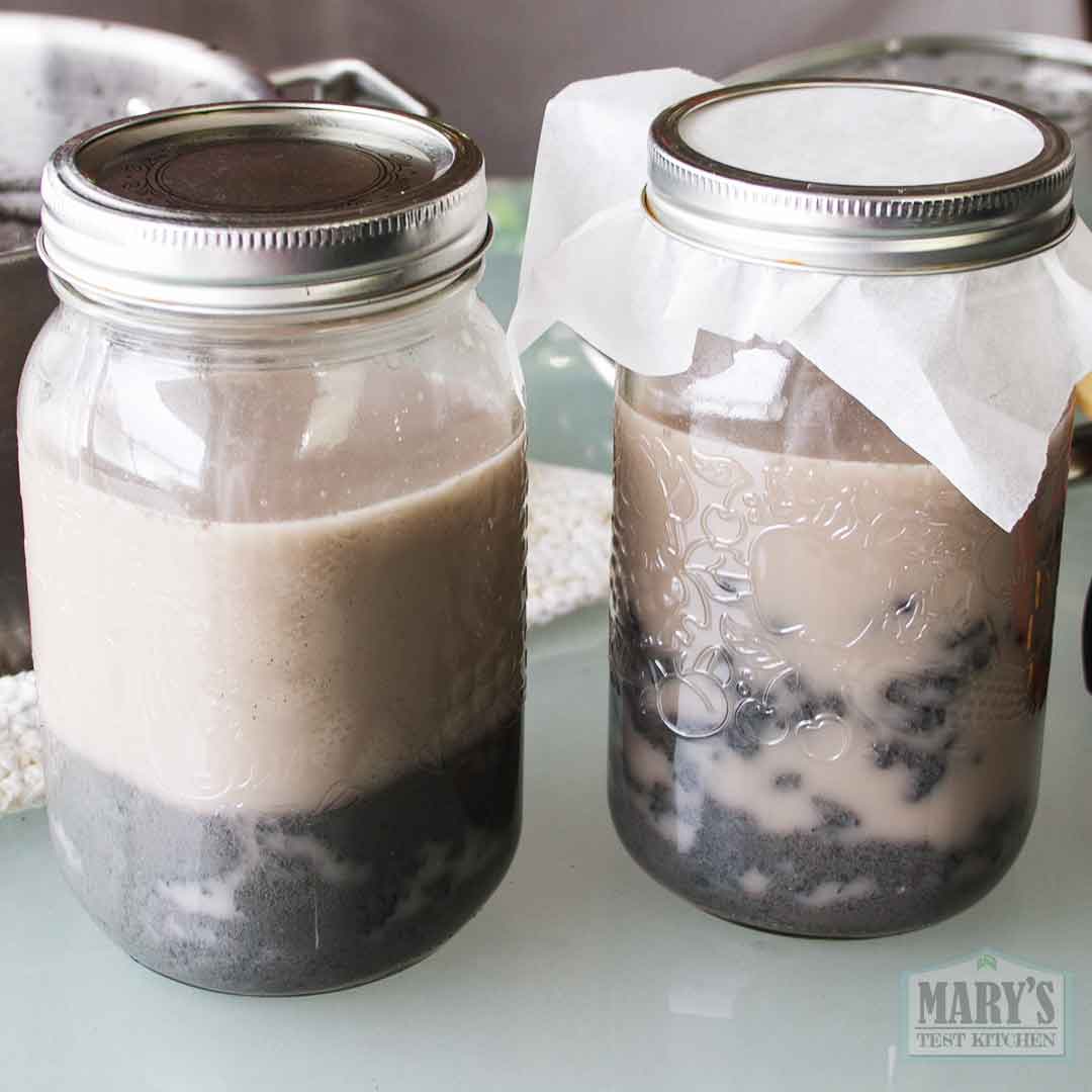 inoculated black sesame curds and whey ready for incubation