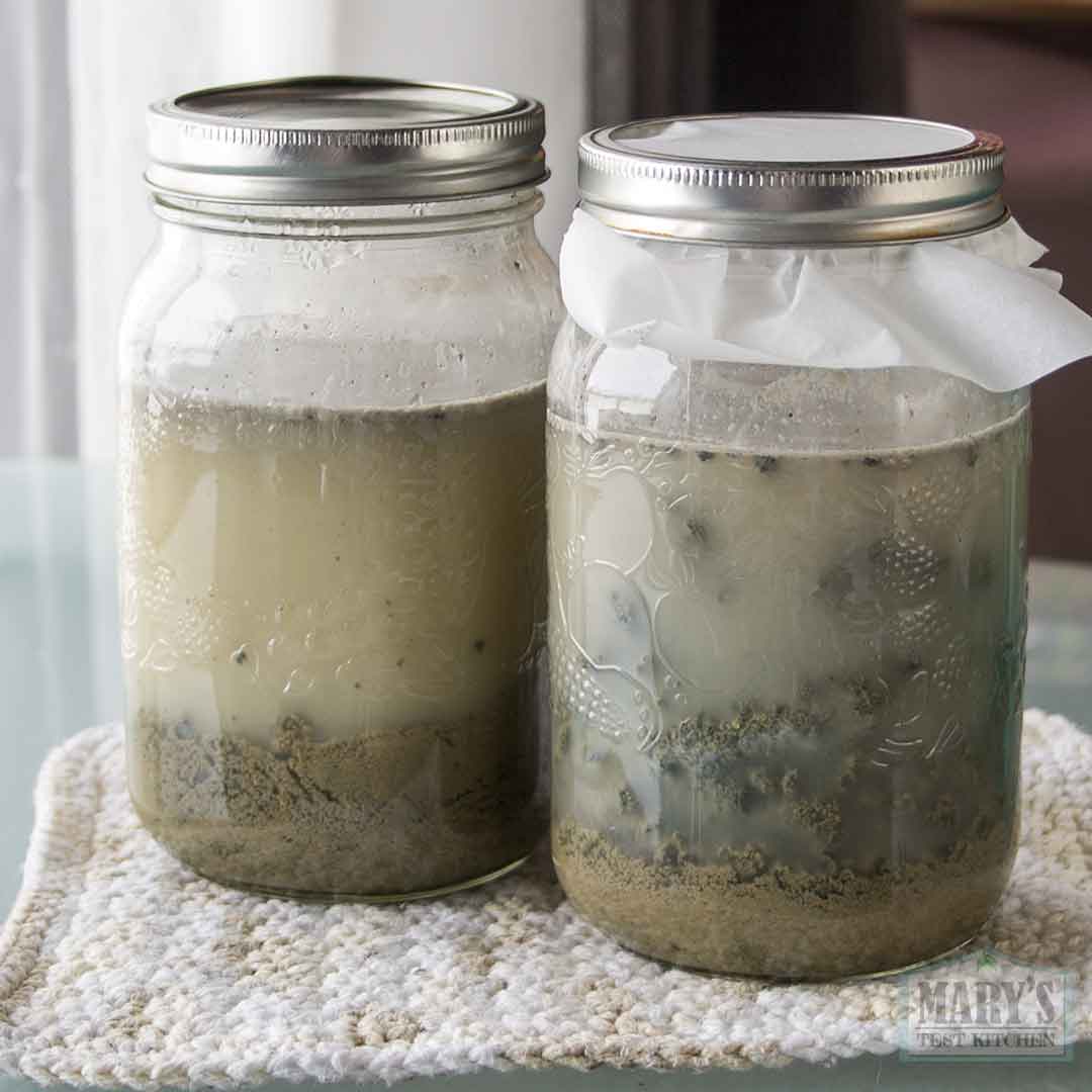 black sesame curds and whey after incubating 24 hours