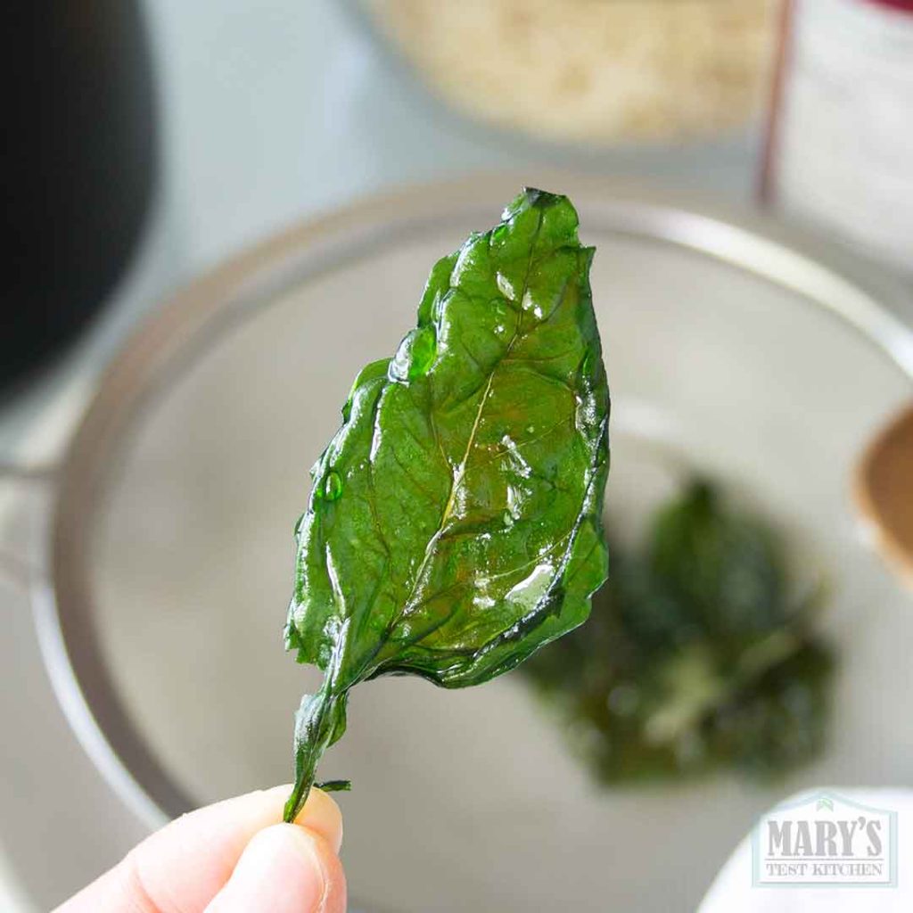 single crispy thai basil leaf