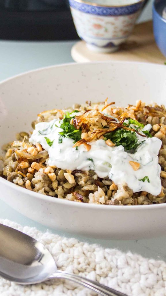 close up of plated mujadara with yogurt sauce and toasted cashews