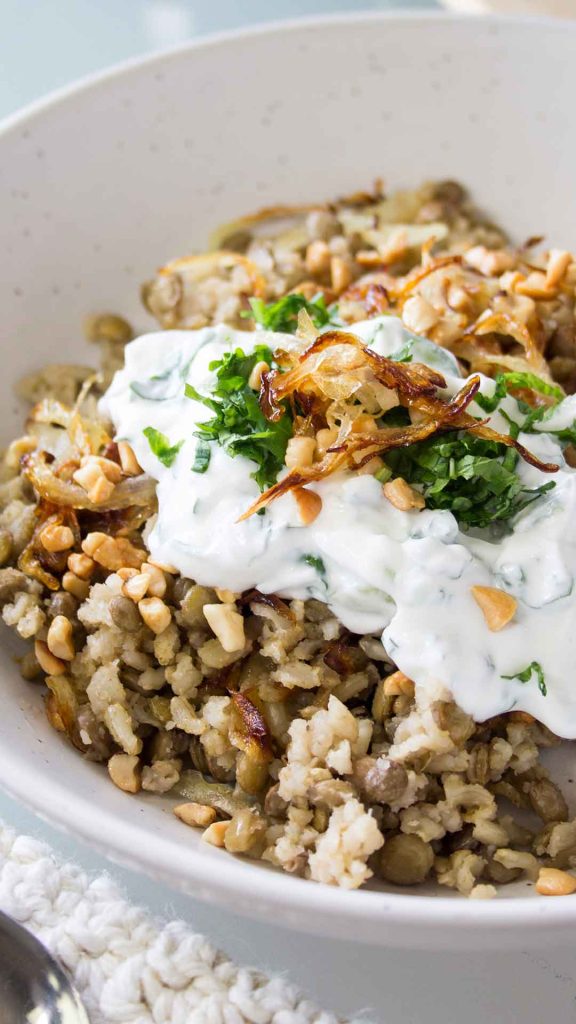 serving of middle eastern lentils and rice with yogurt sauce, crispy onions, herbs and toasted cashews
