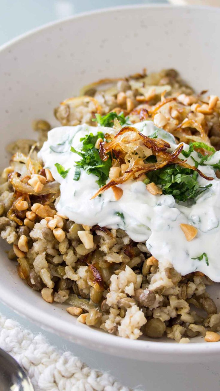serving of middle eastern lentils and rice with yogurt sauce, crispy onions, herbs and toasted cashews