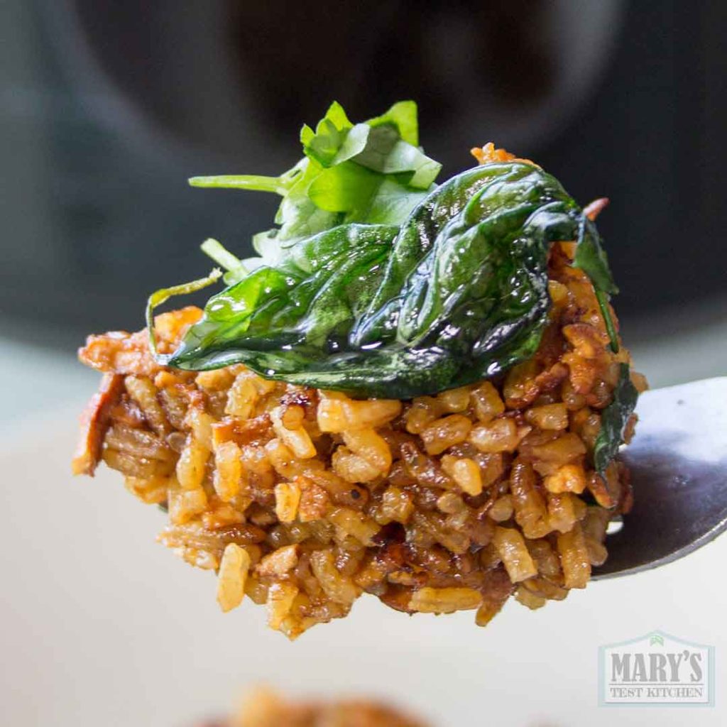 forkful of san bei tofu rice