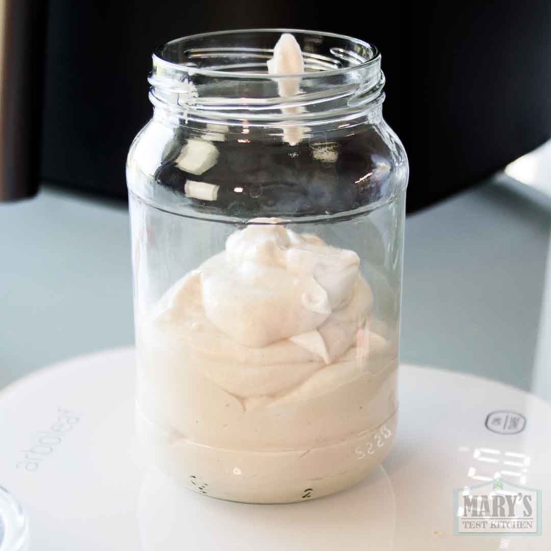 super thick homemade cashew yogurt
