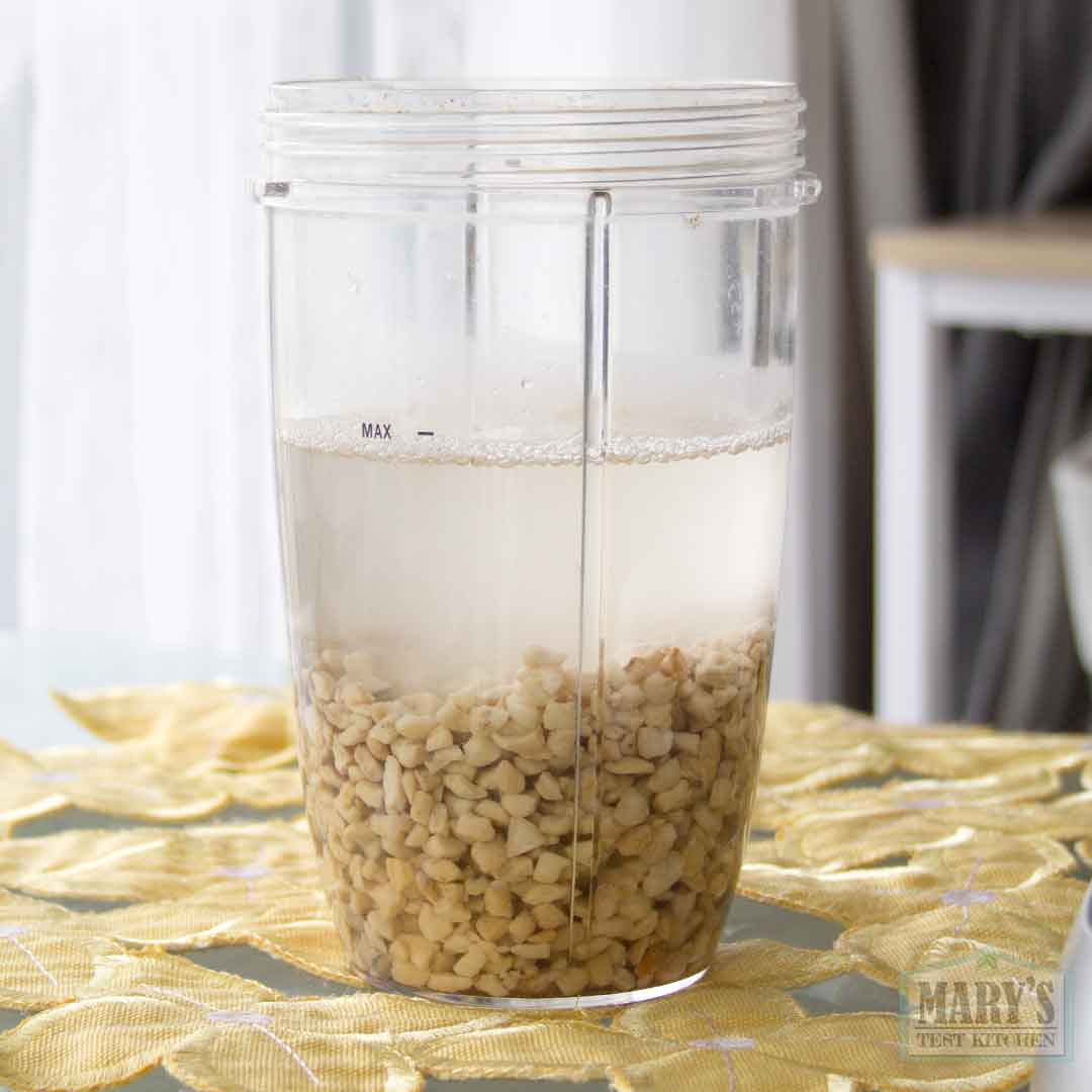 cashew pieces in water to make rich cashew milk