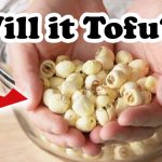 Lotus Seed Tofu and Tempeh