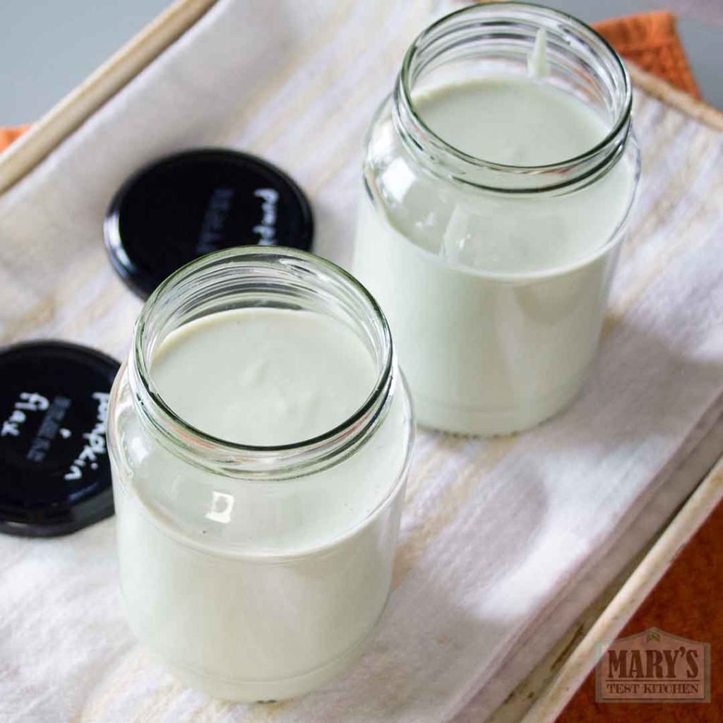 finished pumpkin seed yogurts