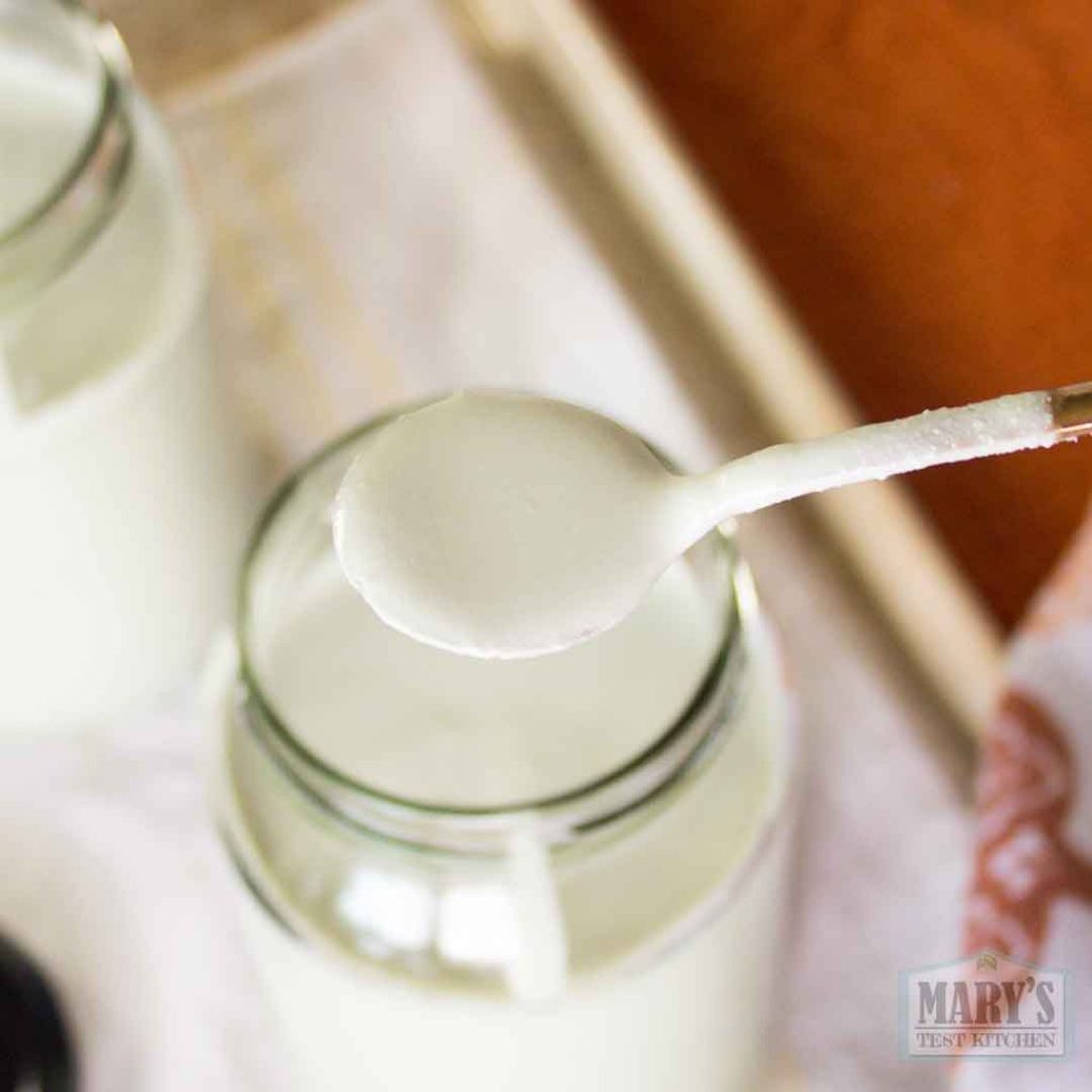 plain pumpkin seed yogurt