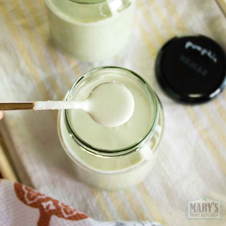 Pumpkin Seed Yogurt