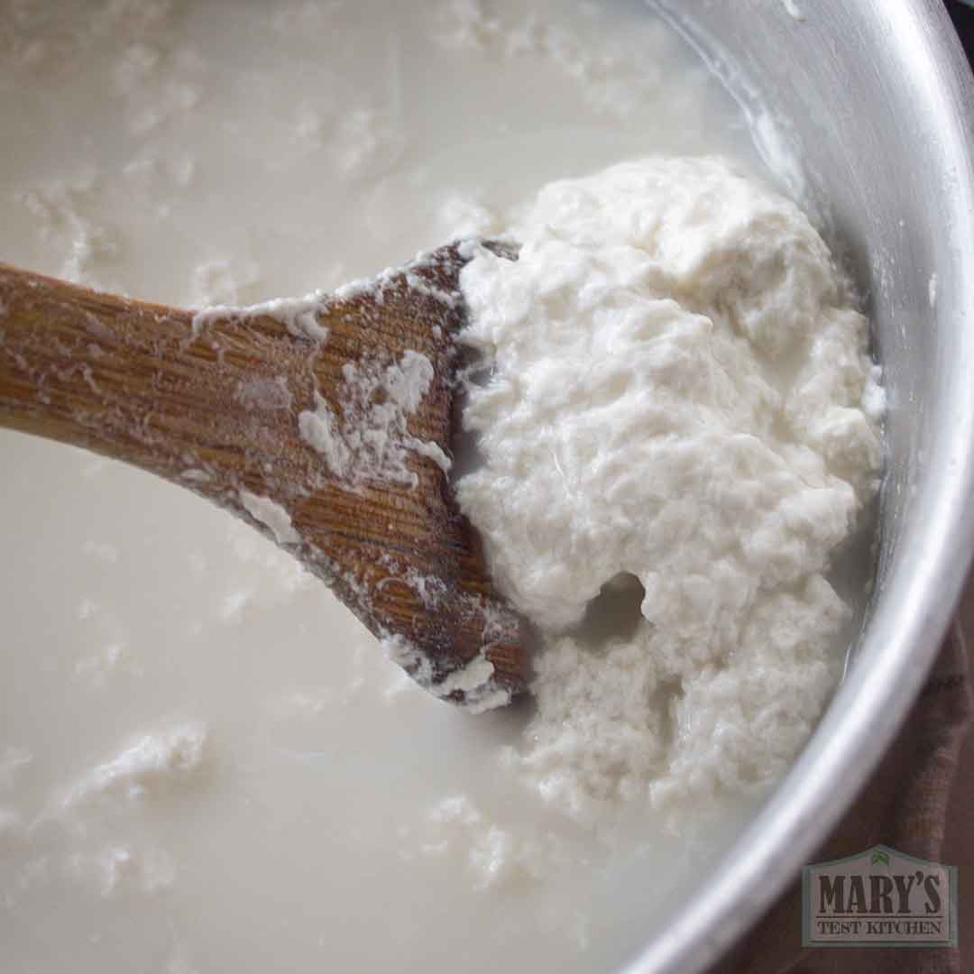 fresh white sesame curds
