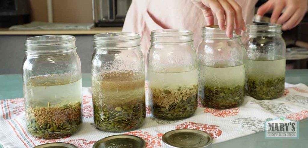 soaked pumpkin seeds with added variables with water before blending