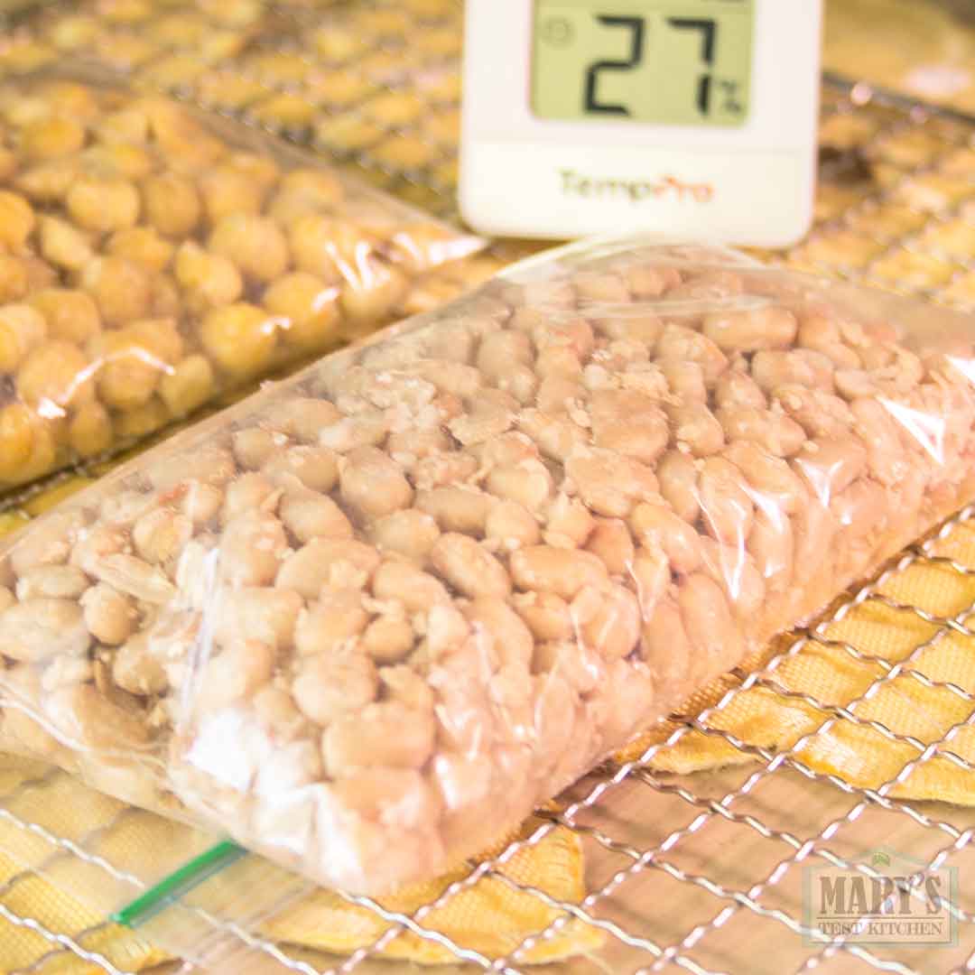 inoculated bag of canned navy beans