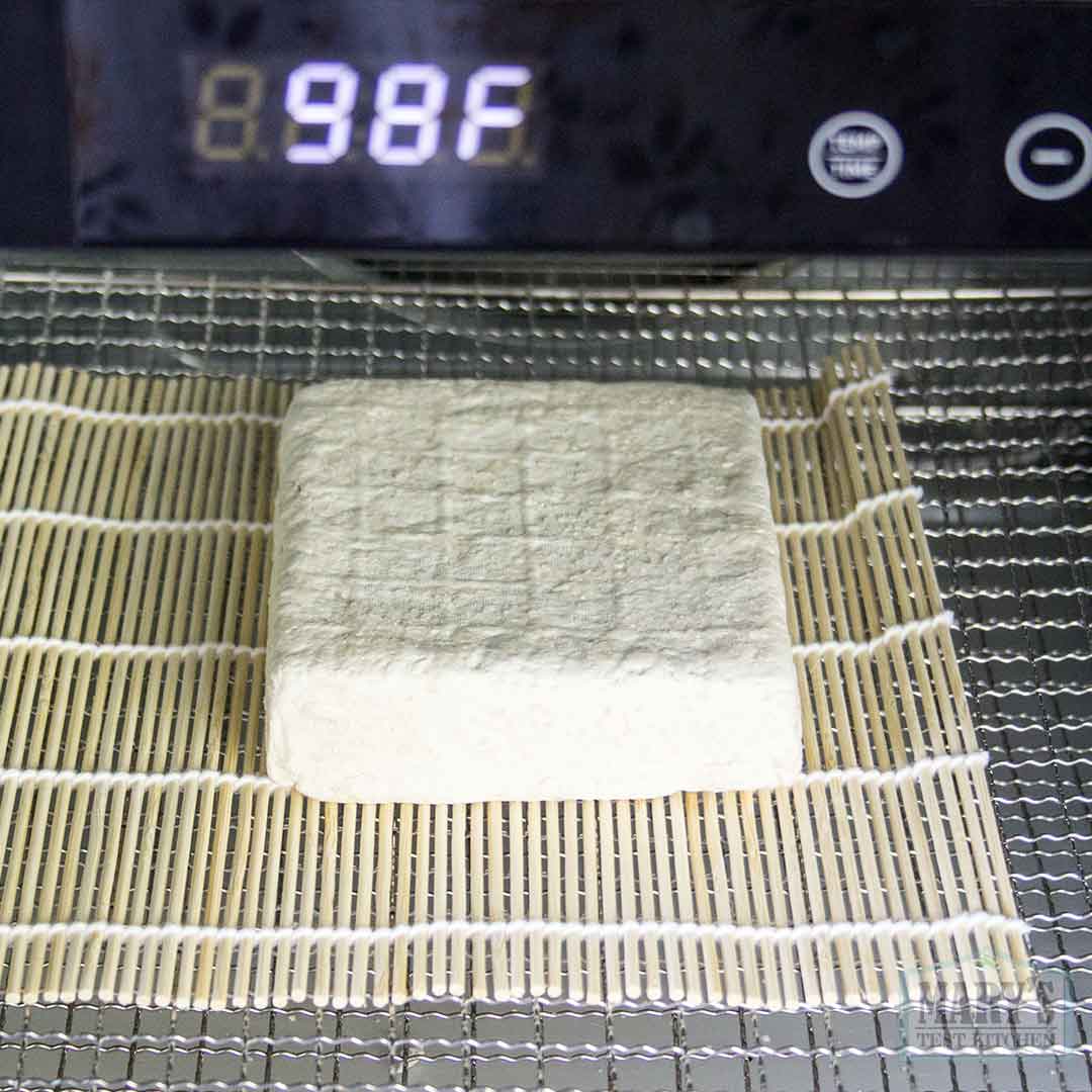 freshly salted white sesame cheese in the dehydrator at 98°F
