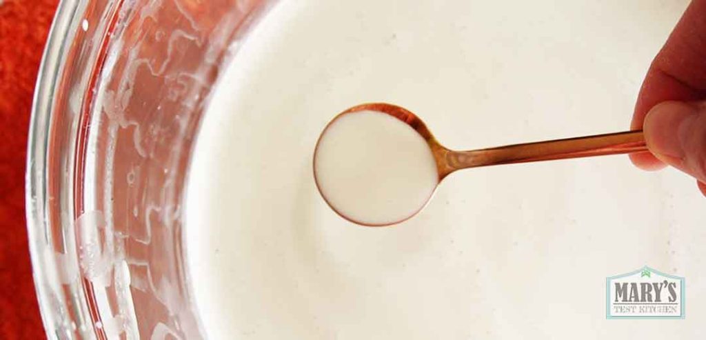 fresh pumpkin seed milk