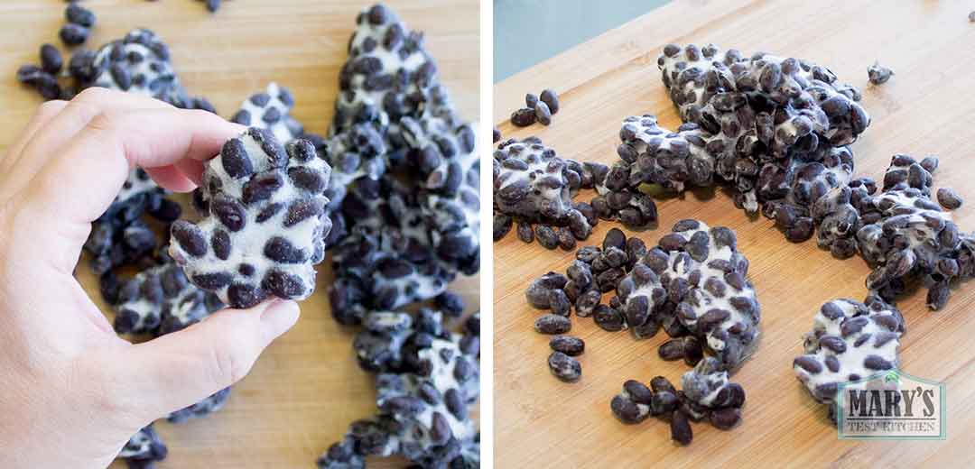 canned black bean tempeh in pieces