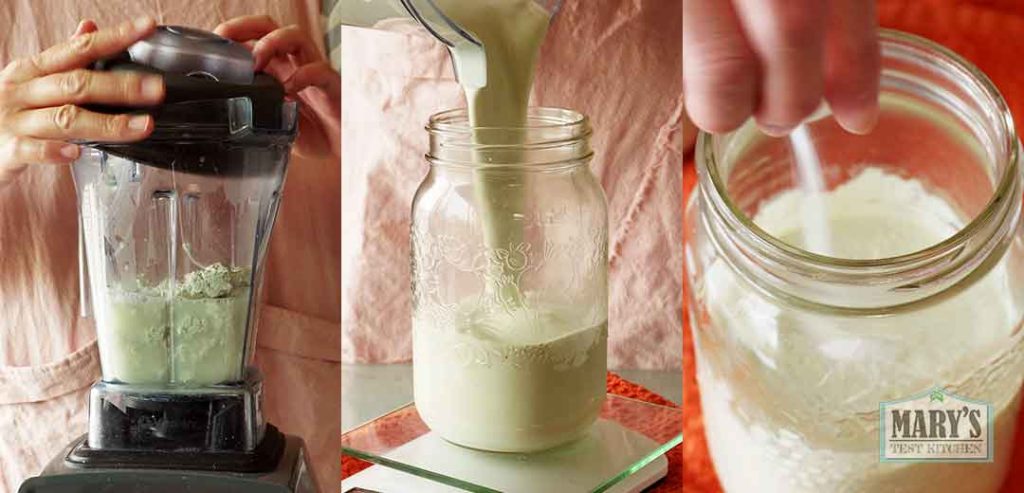 pumpkin seed curds blended and inoculated