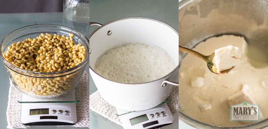 soybeans, soymilk, and soy yogurt